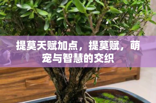 提莫天赋加点，提莫赋，萌宠与智慧的交织