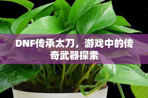 游戏中的传奇武器探索图片