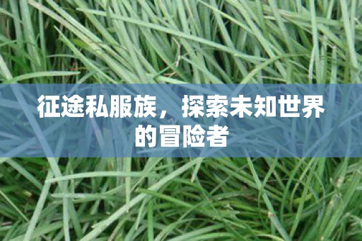 征途私服族，探索未知世界的冒险者