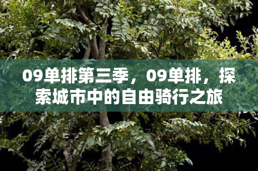 09单排第三季，09单排，探索城市中的自由骑行之旅