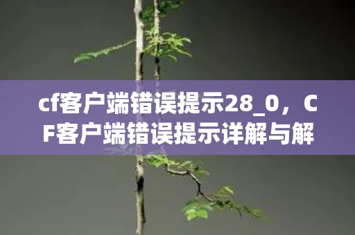 cf客户端错误提示28_0,CF客户端错误提示详解与解决方案 cf客户端错误提示28_0,CF客户端错误提示详解与解决方案