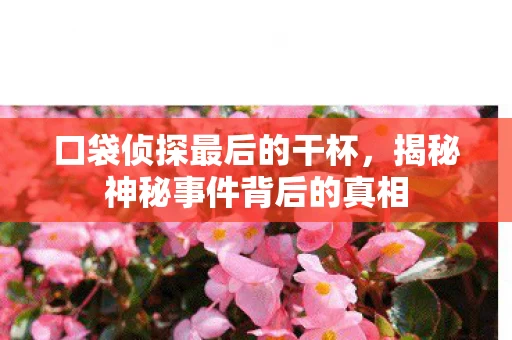 揭秘神秘事件背后的真相图片