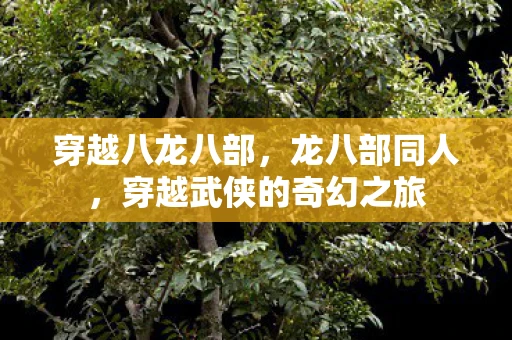 穿越八龙八部，龙八部同人，穿越武侠的奇幻之旅