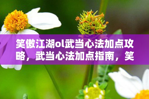 笑傲江湖ol武当心法加点攻略,武当心法加点指南,笑傲江湖OL中的武当派心法详解 笑傲江湖ol武当心法加点攻略,武当心法加点指南,笑傲江湖OL中的武当派心法详解