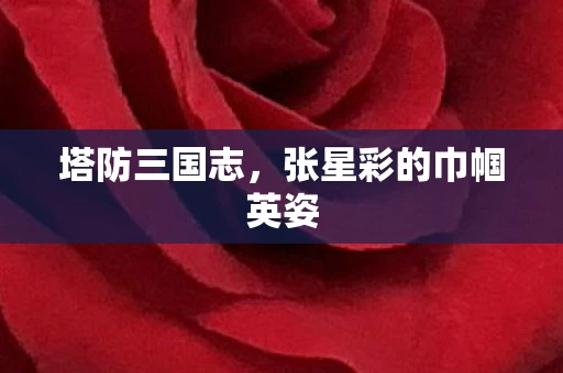 张星彩的巾帼英姿图片