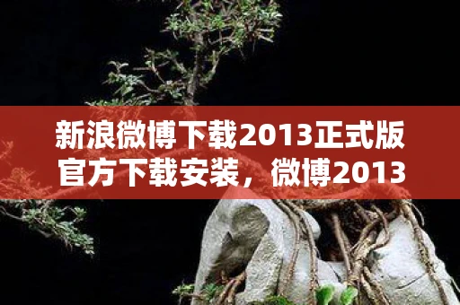 新浪微博下载2013正式版官方下载安装，微博2013正式版，记录时代，分享生活的经典之作