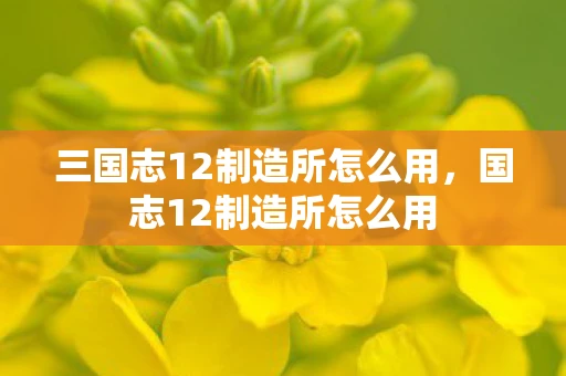 三国志12制造所怎么用，国志12制造所怎么用