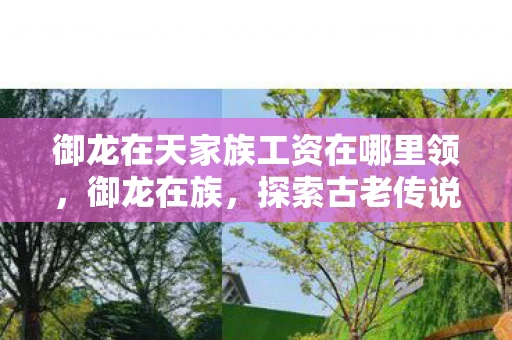 御龙在天家族工资在哪里领,御龙在族,探索古老传说与工资制度的奇妙融合 御龙在天家族工资在哪里领,御龙在族,探索古老传说与工资制度的奇妙融合