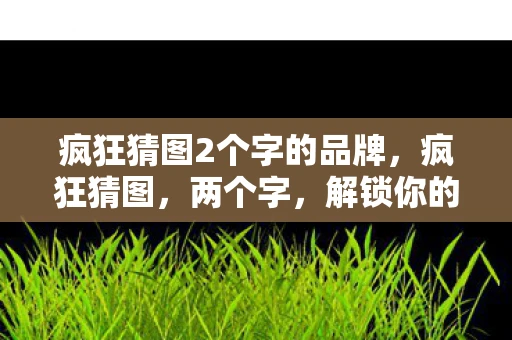 疯狂猜图2个字的品牌，疯狂猜图，两个字，解锁你的想象力！