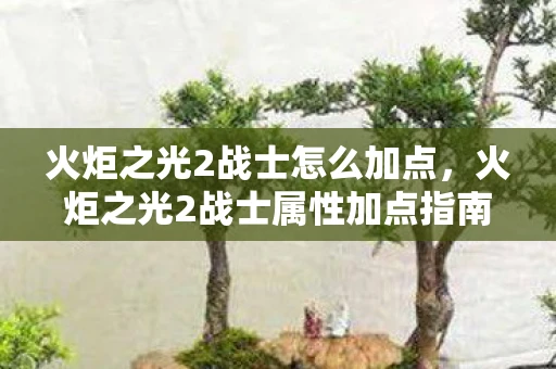 火炬之光2战士怎么加点,火炬之光2战士属性加点指南 火炬之光2战士怎么加点,火炬之光2战士属性加点指南