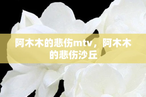 阿木木的悲伤mtv，阿木木的悲伤沙丘