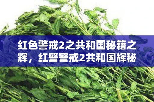 红色警戒2之共和国秘籍之辉,红警警戒2共和国辉秘籍,解锁隐藏功能,提升游戏策略 红色警戒2之共和国秘籍之辉,红警警戒2共和国辉秘籍,解锁隐藏功能,提升游戏策略