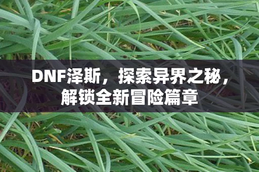 解锁全新冒险篇章图片