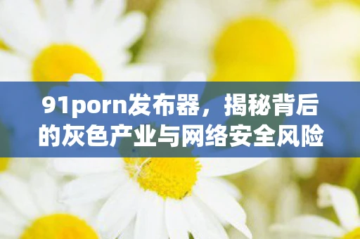 91porn发布器，揭秘背后的灰色产业与网络安全风险