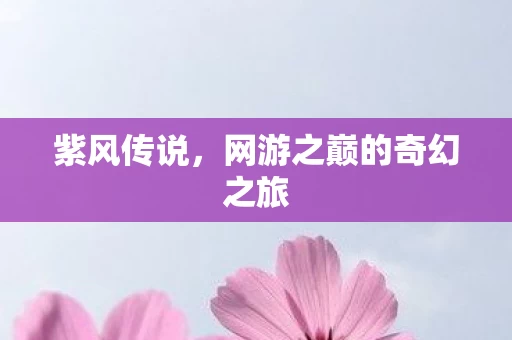 网游之巅的奇幻之旅图片
