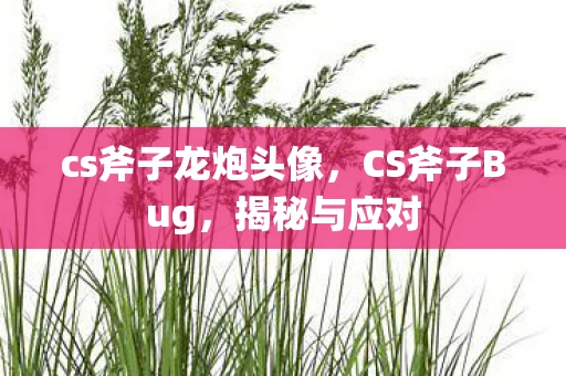 cs斧子龙炮头像,CS斧子Bug,揭秘与应对 cs斧子龙炮头像,CS斧子Bug,揭秘与应对