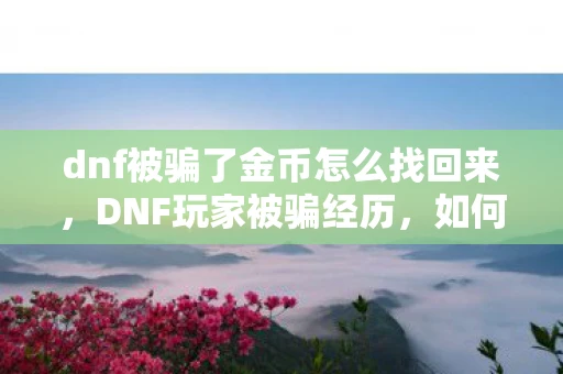 dnf被骗了金币怎么找回来，DNF玩家被骗经历，如何防范与应对