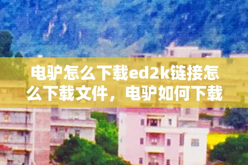 电驴怎么下载ed2k链接怎么下载文件，电驴如何下载，全面指南