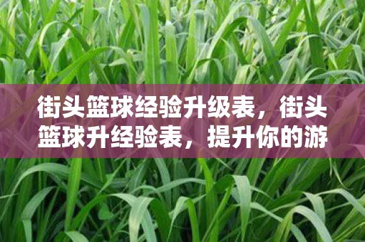 街头篮球经验升级表，街头篮球升经验表，提升你的游戏水平