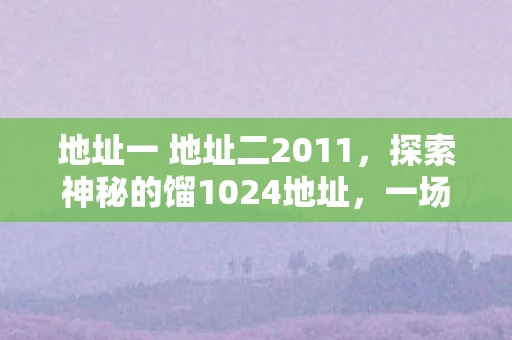 地址一 地址二2011，探索神秘的馏1024地址，一场数字时代的探险之旅