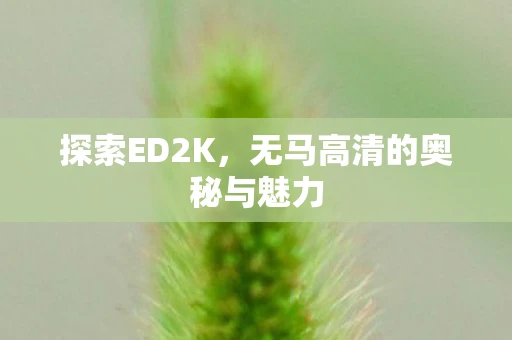 探索ED2K,无马高清的奥秘与魅力 探索ED2K,无马高清的奥秘与魅力