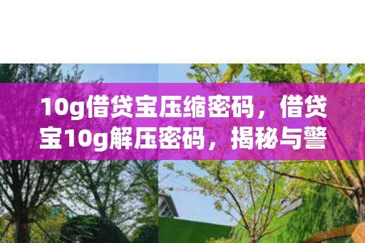 10g借贷宝压缩密码，借贷宝10g解压密码，揭秘与警示