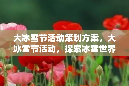 大冰雪节活动策划方案，大冰雪节活动，探索冰雪世界的奇妙之旅