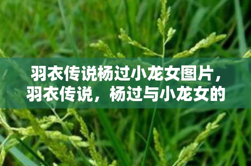 羽衣传说杨过小龙女图片,羽衣传说,杨过与小龙女的爱情故事 羽衣传说杨过小龙女图片,羽衣传说,杨过与小龙女的爱情故事