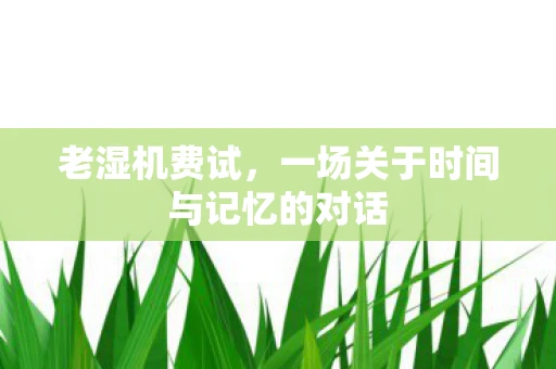 老湿机费试,一场关于时间与记忆的对话 老湿机费试,一场关于时间与记忆的对话