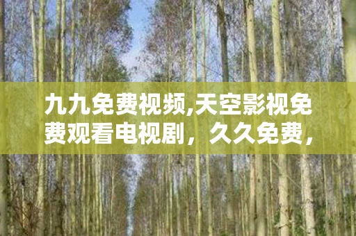 九九免费视频,天空影视免费观看电视剧，久久免费，探索互联网时代的免费经济