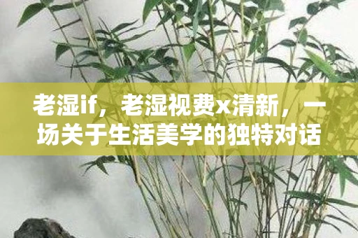 老湿if，老湿视费x清新，一场关于生活美学的独特对话