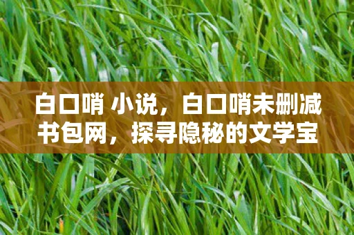白口哨 小说,白口哨未删减书包网,探寻隐秘的文学宝藏 白口哨 小说,白口哨未删减书包网,探寻隐秘的文学宝藏
