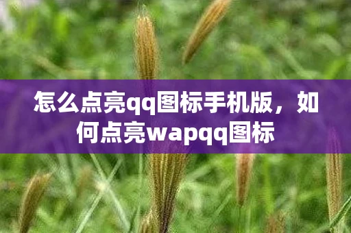 怎么点亮qq图标手机版,如何点亮wapqq图标 怎么点亮qq图标手机版,如何点亮wapqq图标