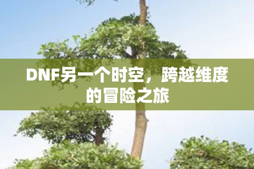 跨越维度的冒险之旅图片