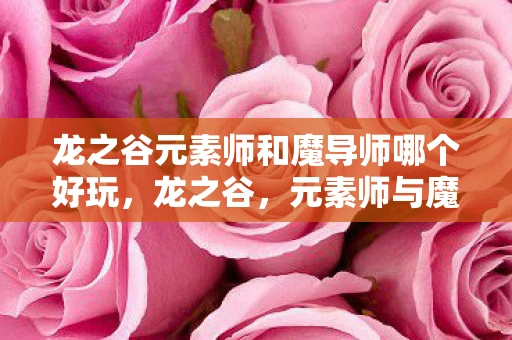 龙之谷元素师和魔导师哪个好玩，龙之谷，元素师与魔导师，谁才是你的魔法首选？