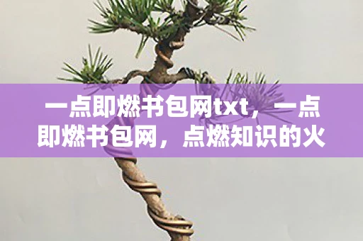 一点即燃书包网txt，一点即燃书包网，点燃知识的火花，照亮前行的道路