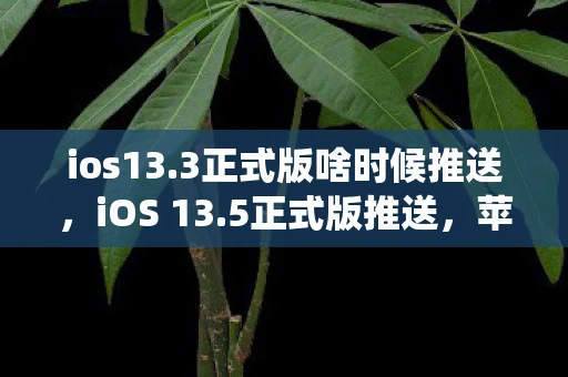 ios13.3正式版啥时候推送，iOS 13.5正式版推送，苹果最新系统更新详解