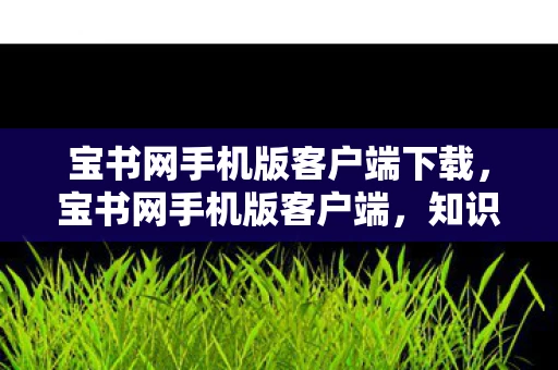 宝书网手机版客户端下载,宝书网手机版客户端,知识海洋中的便捷航标 宝书网手机版客户端下载,宝书网手机版客户端,知识海洋中的便捷航标