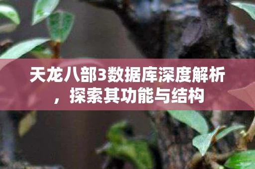 天龙八部3数据库深度解析图片