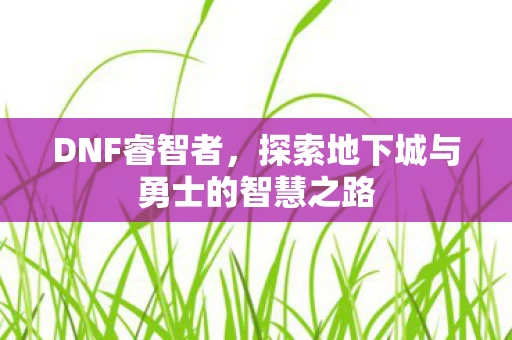 探索地下城与勇士的智慧之路图片