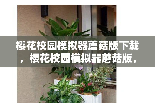 樱花校园模拟器蘑菇版下载，樱花校园模拟器蘑菇版，探索虚拟世界的奇妙之旅