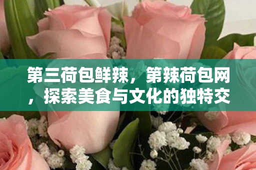 第三荷包鲜辣,第辣荷包网,探索美食与文化的独特交汇点 第三荷包鲜辣,第辣荷包网,探索美食与文化的独特交汇点