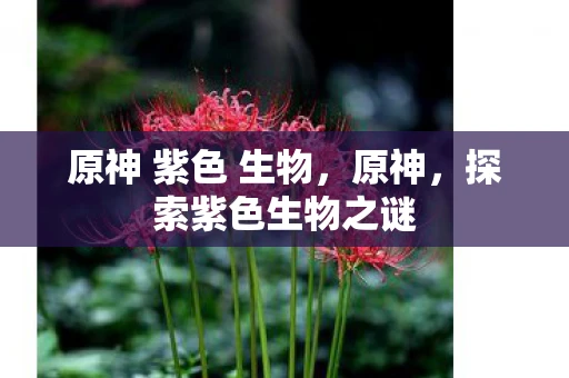 原神 紫色 生物，原神，探索紫色生物之谜