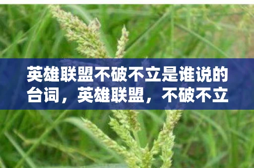 英雄联盟不破不立是谁说的台词，英雄联盟，不破不立，谁人敢言？