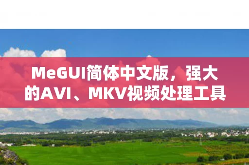 MeGUI简体中文版图片