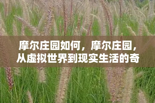 摩尔庄园如何，摩尔庄园，从虚拟世界到现实生活的奇妙旅程