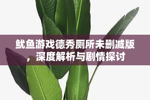 鱿鱼游戏德秀厕所未删减版，深度解析与剧情探讨