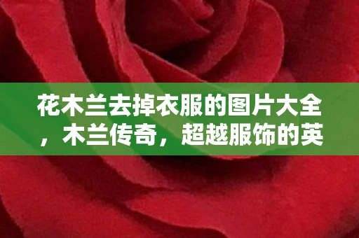 花木兰去掉衣服的图片大全,木兰传奇,超越服饰的英勇与坚韧 花木兰去掉衣服的图片大全,木兰传奇,超越服饰的英勇与坚韧