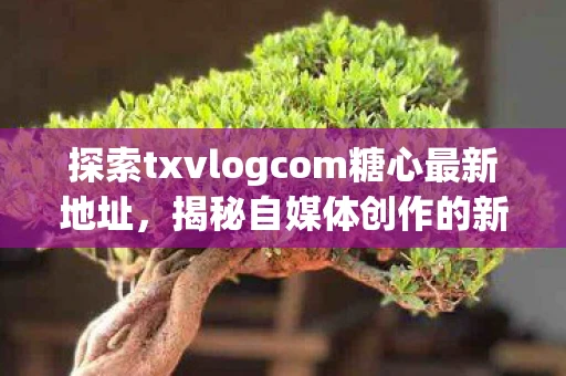 探索txvlogcom糖心最新地址，揭秘自媒体创作的新平台