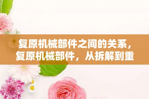 复原机械部件之间的关系，复原机械部件，从拆解到重生的艺术